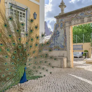 Solar Do Castelo - Heritage Collection - Alfama Lissabon